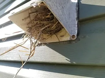 Slide of Viper Vents