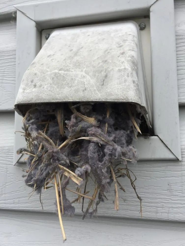 Slide of Viper Vents