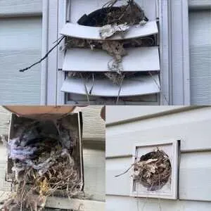 Slide of Viper Vents