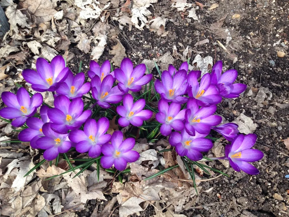 Slide of Virginia Heating and Air