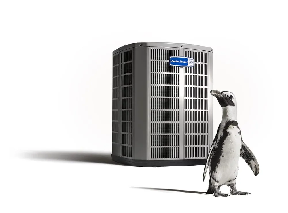 Slide of Vision Air Services