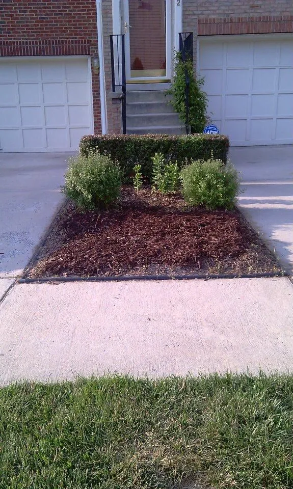 Slide of Visionary Lawn Services