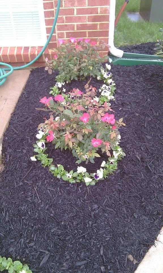 Slide of Visionary Lawn Services