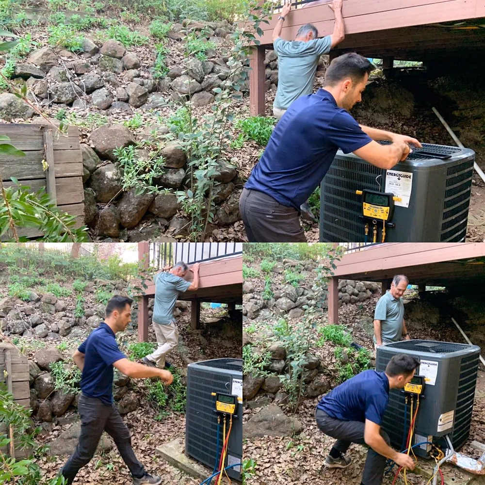 Slide of Vital Comfort