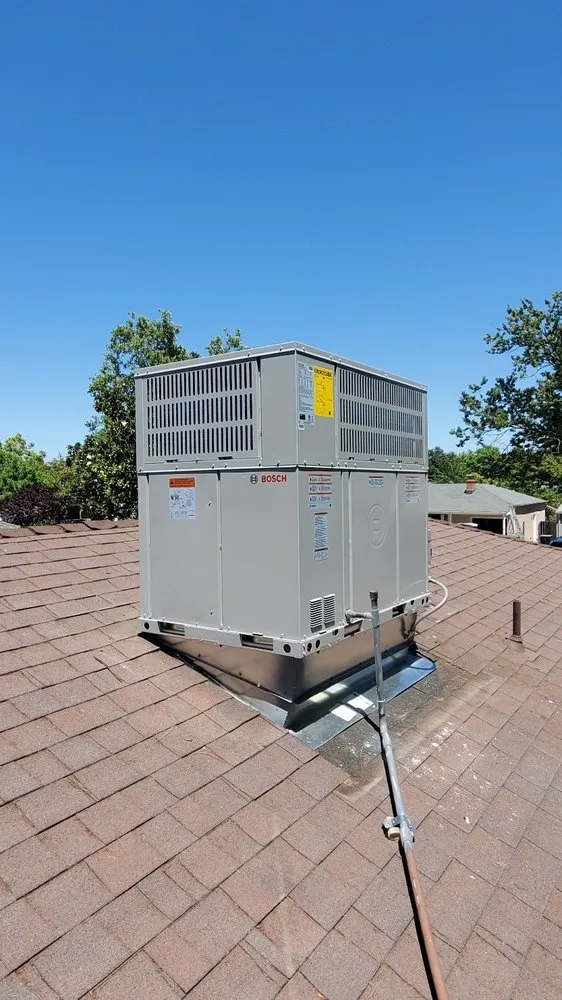 Slide of Vital Comfort