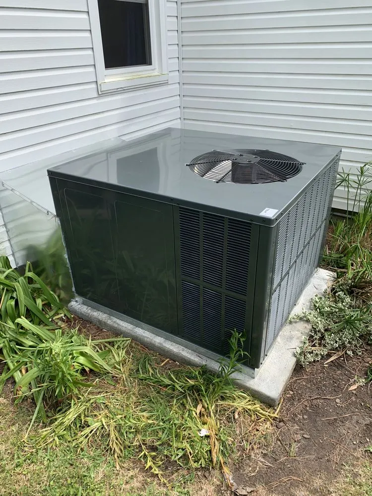 Slide of Vital Heating and Cooling