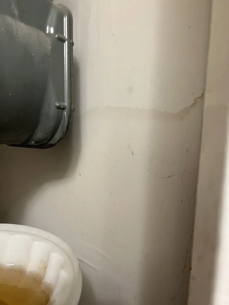 Slide of Vito Services