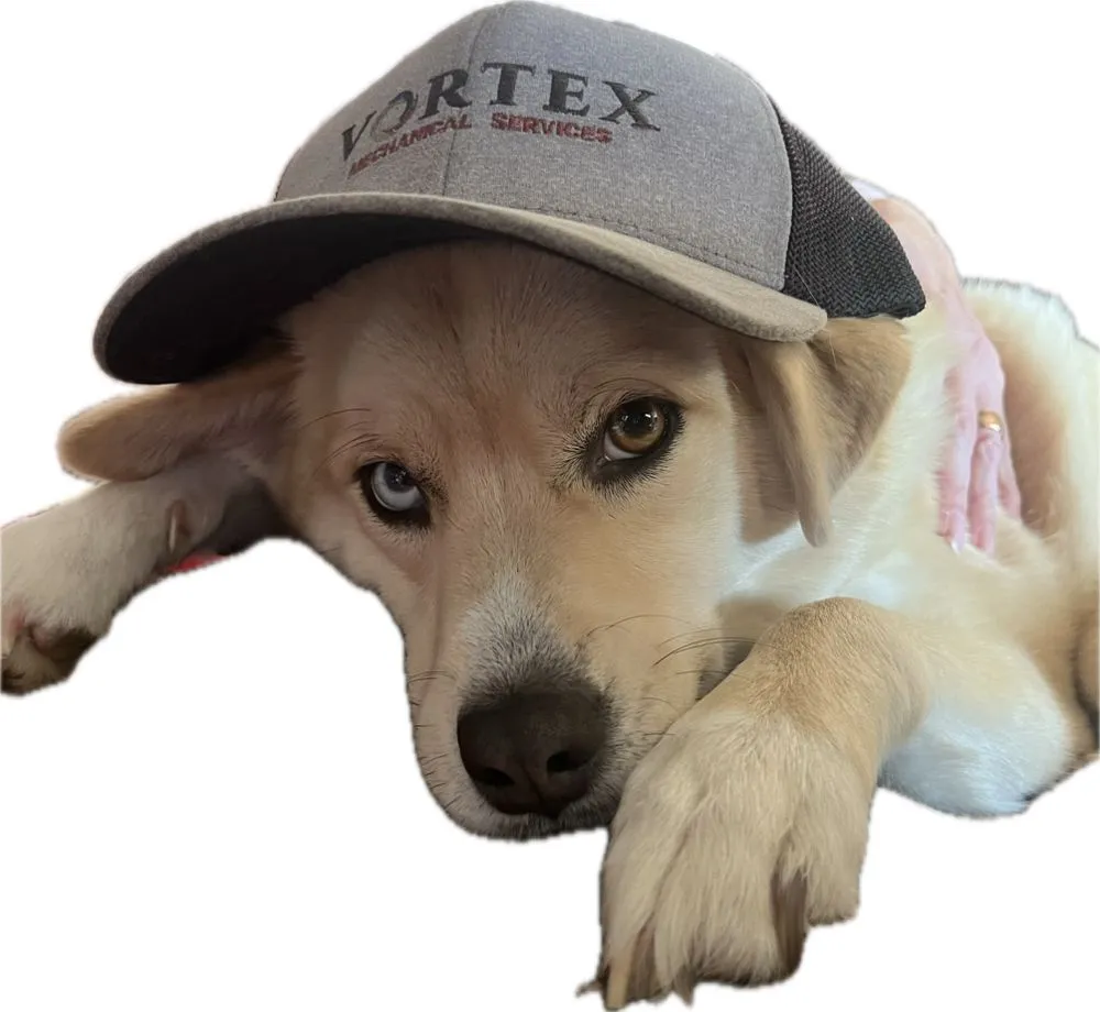 Slide of Vortex Mechanical Services