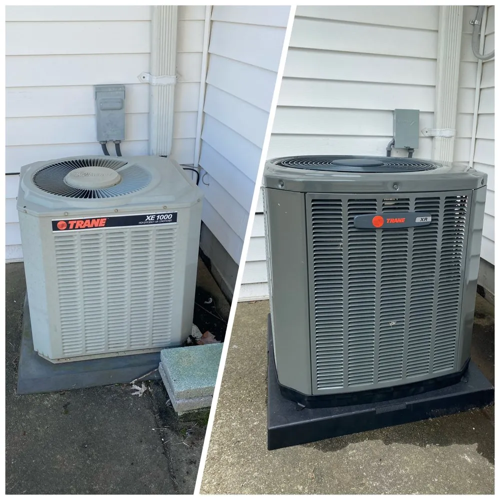 Slide of W F Hann & Sons