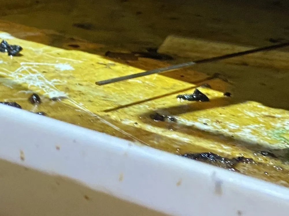 Slide of Walker Plumbing, Heating & Air