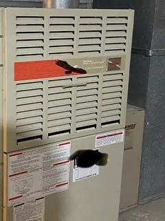 Slide of Walls & Sons