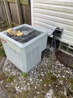 Slide of Walls & Sons