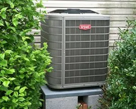 Slide of Walsh Brothers