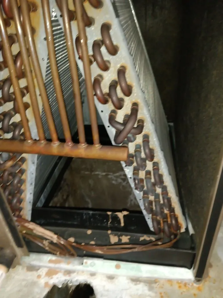 Slide of Ward 7 Service Team