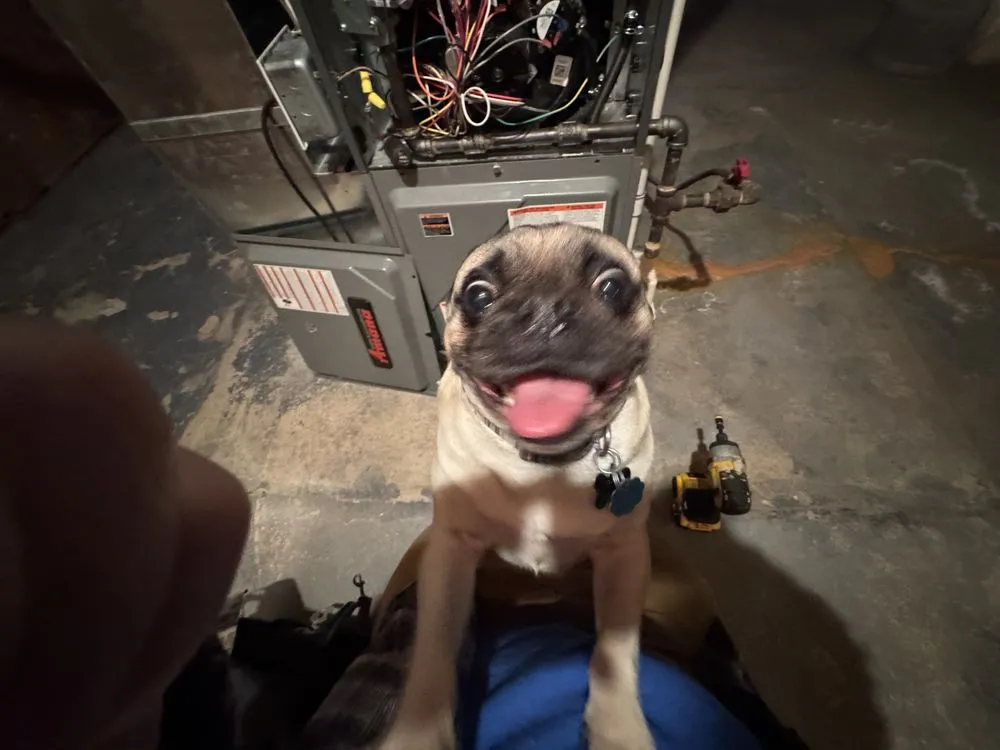 Slide of Wards Heating and Cooling