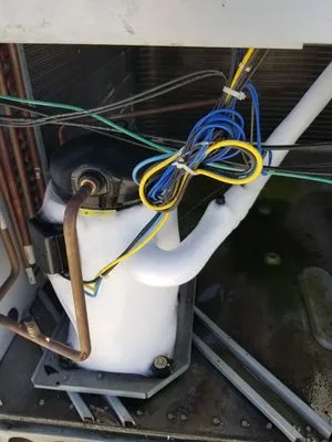 Warm And Frosty Heating And Air