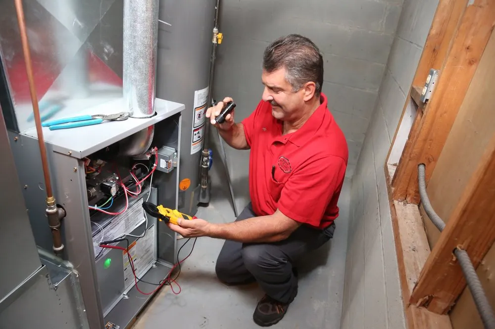 Slide of Warners' Stellian Appliance