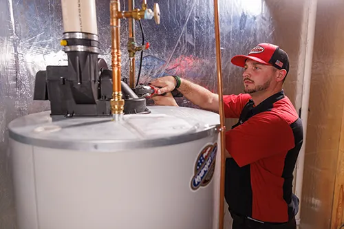 Slide of Warners' Stellian Appliance