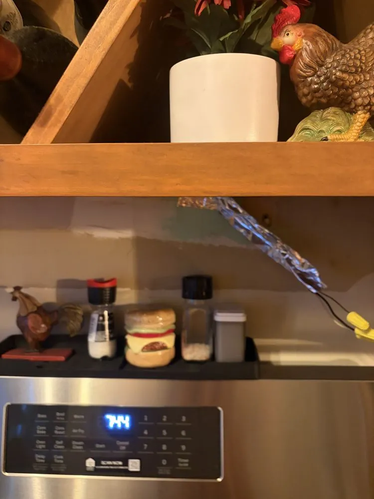 Slide of Warners' Stellian Appliance