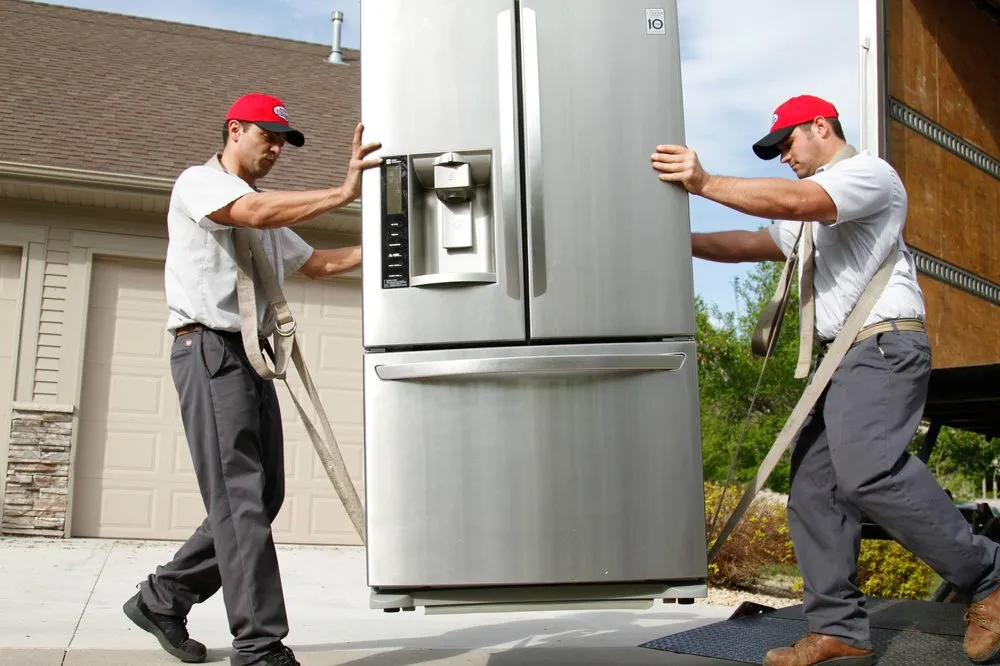 Slide of Warners' Stellian Appliance