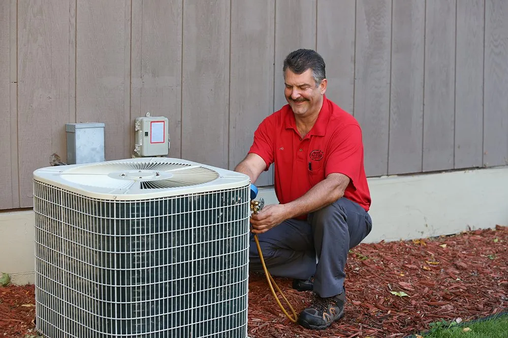 Slide of Warners' Stellian