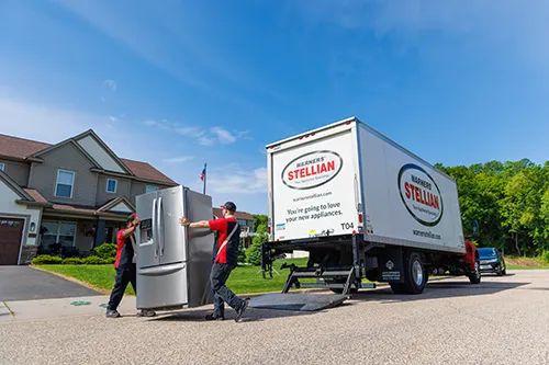 Slide of Warners' Stellian