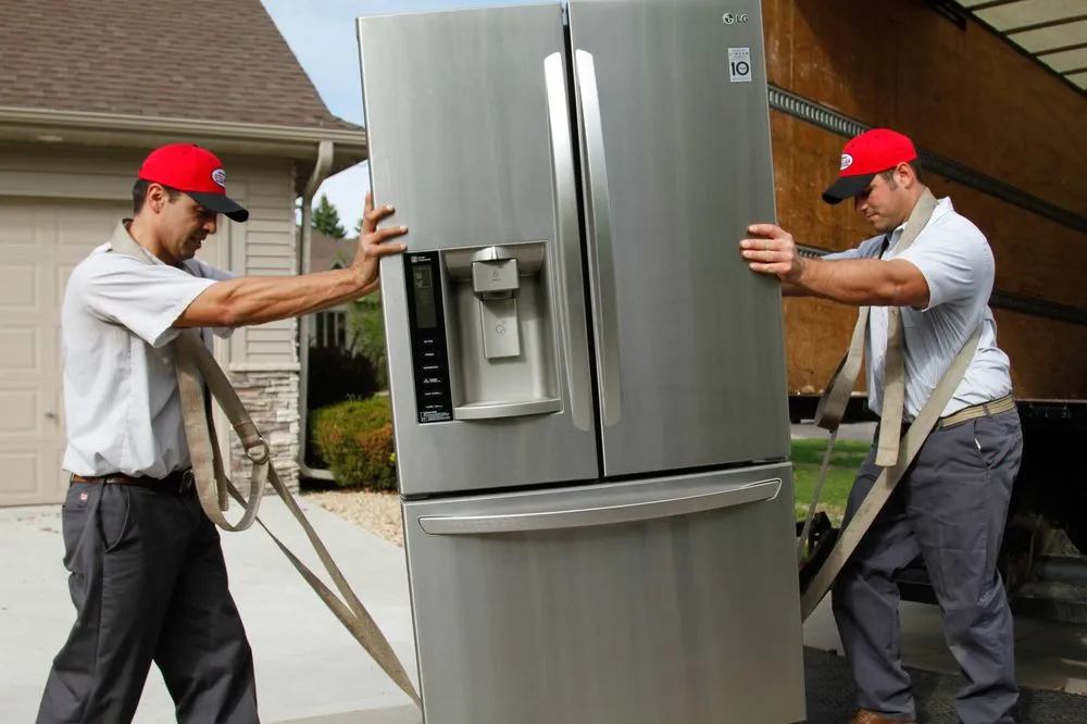 Slide of Warners' Stellian