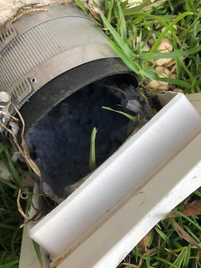 Slide of Warnock's Conditioned Air