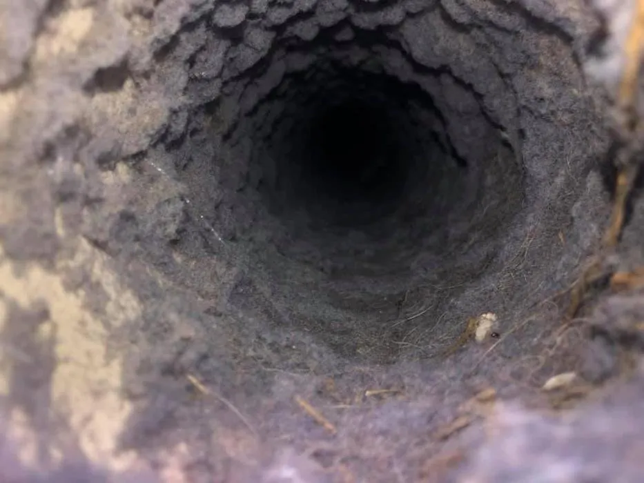 Slide of Warnock's Conditioned Air