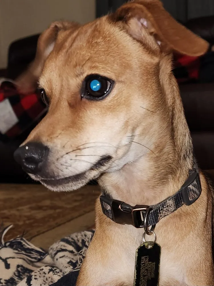 Slide of Watson Heating And Ac Repair Service