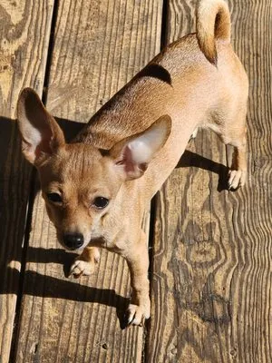 Watson Heating And Ac Repair Service