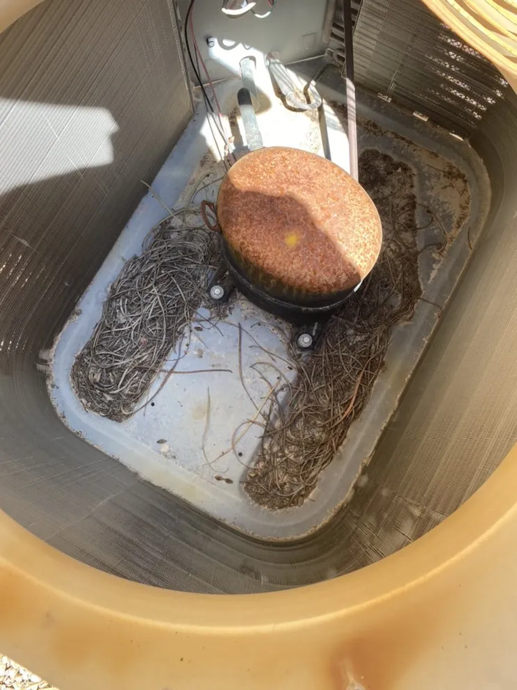 Slide of Wave Heating & Cooling