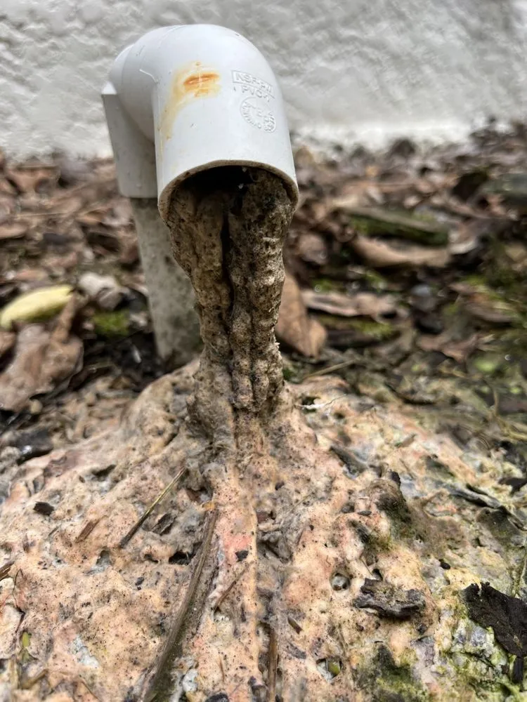 Slide of Waveigh Ac Cleaning Service