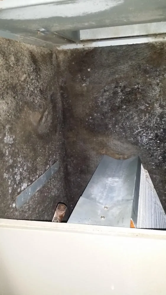 Slide of Way 2 Kool Duct Cleaning