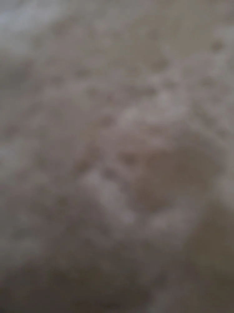 Slide of Wayne's Second Opinion HVAC Inspection