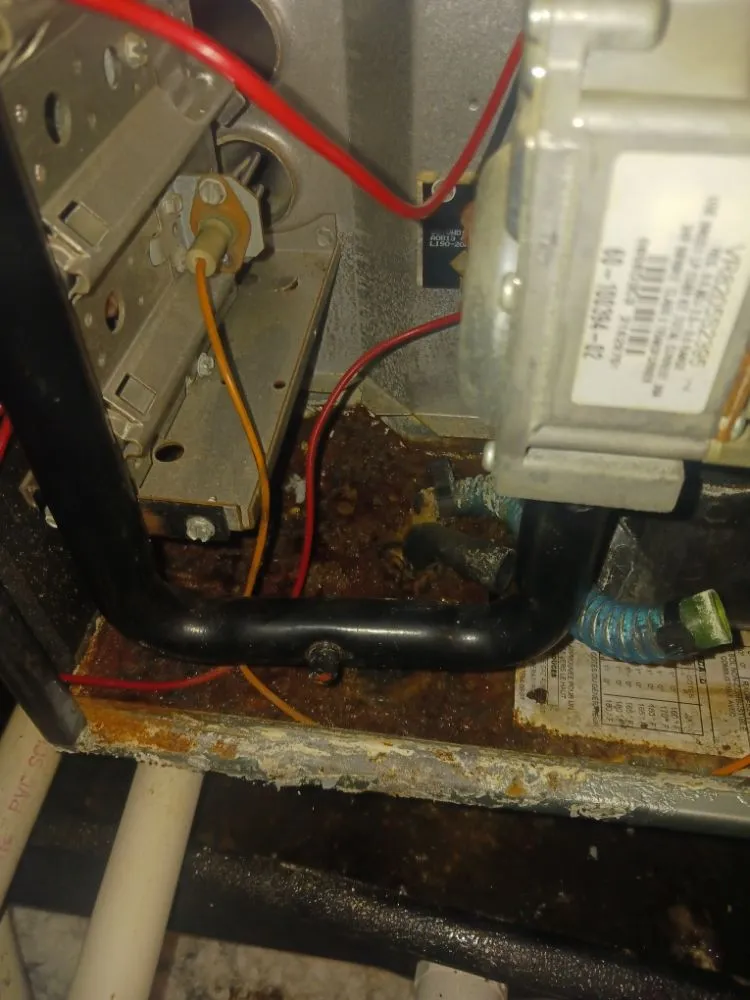 Slide of WB Repair All