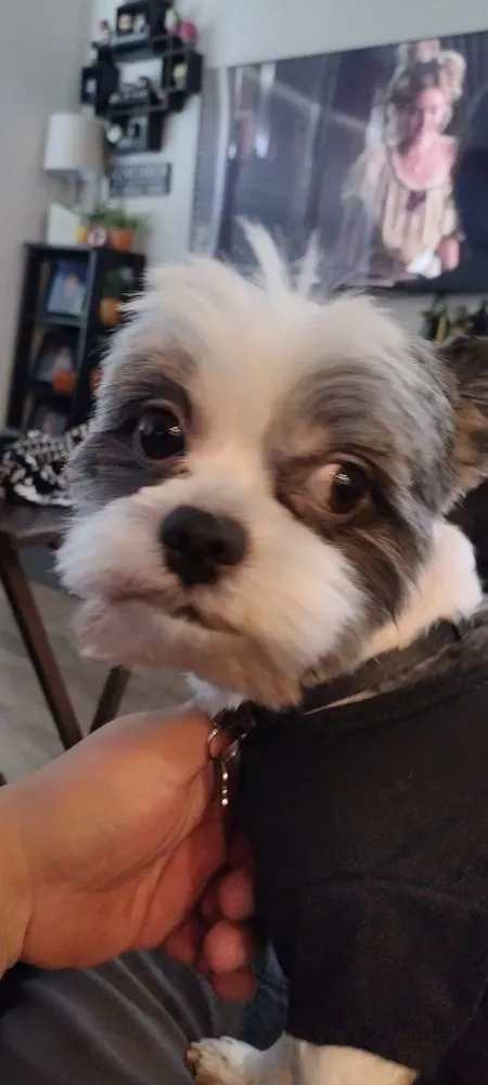 Slide of We Care Heating & Air