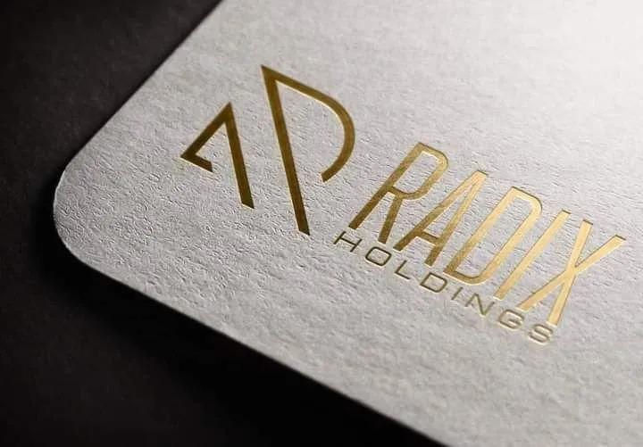 Slide of We Remodel 4 U