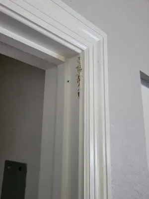 Weather Tech Services Logo