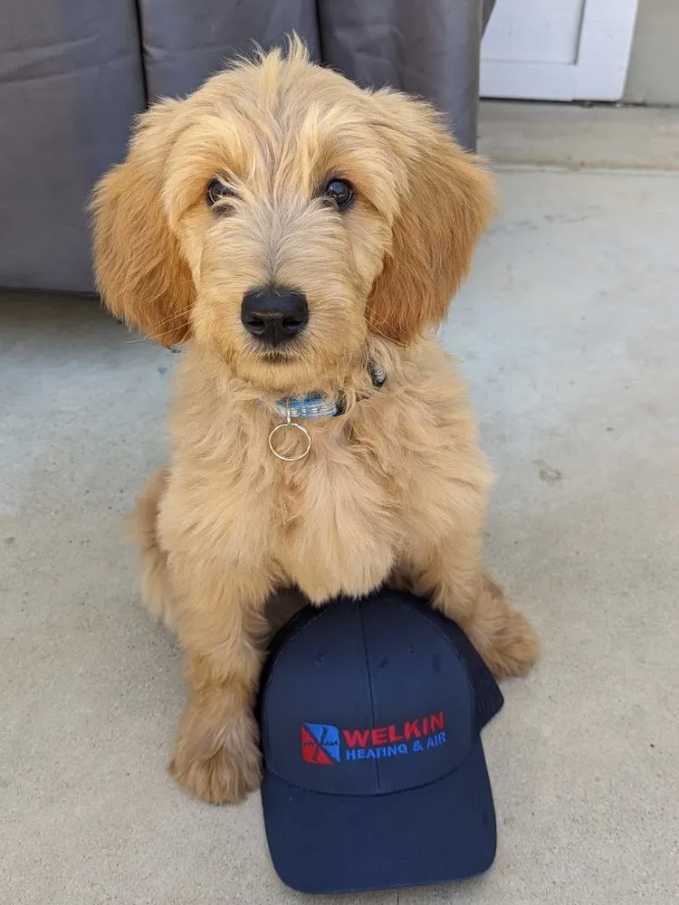 Slide of Welkin Heating and Air