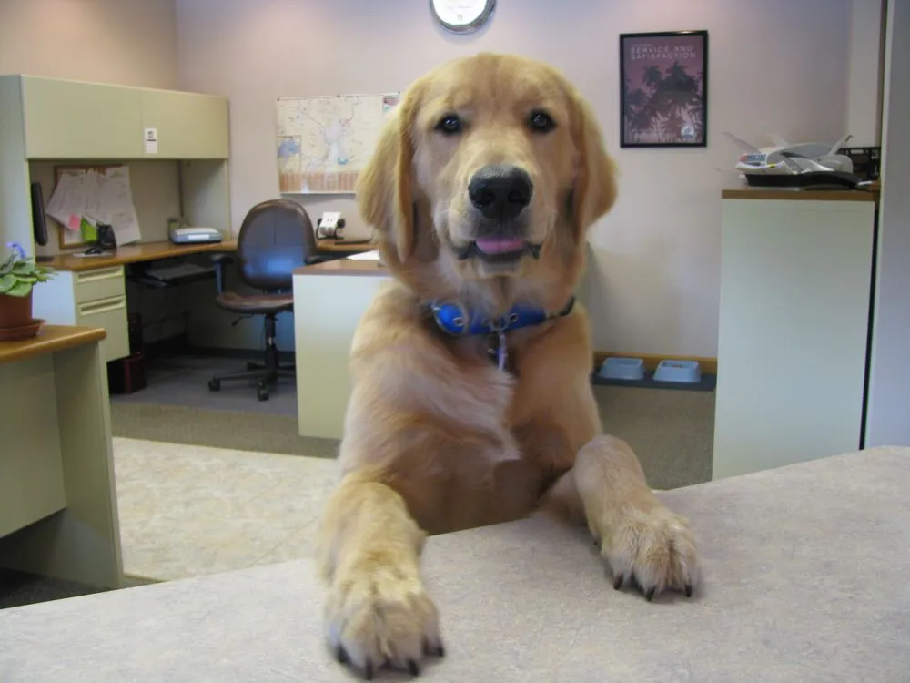 Slide of Wes's Heating & Cooling