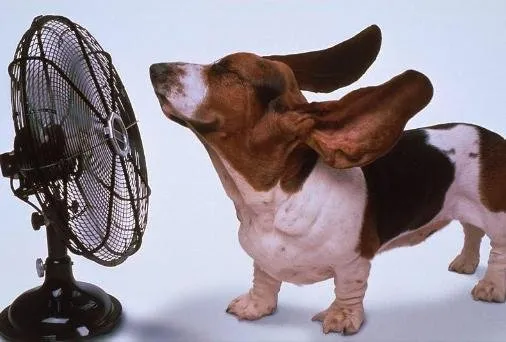 Slide of West Coast Air