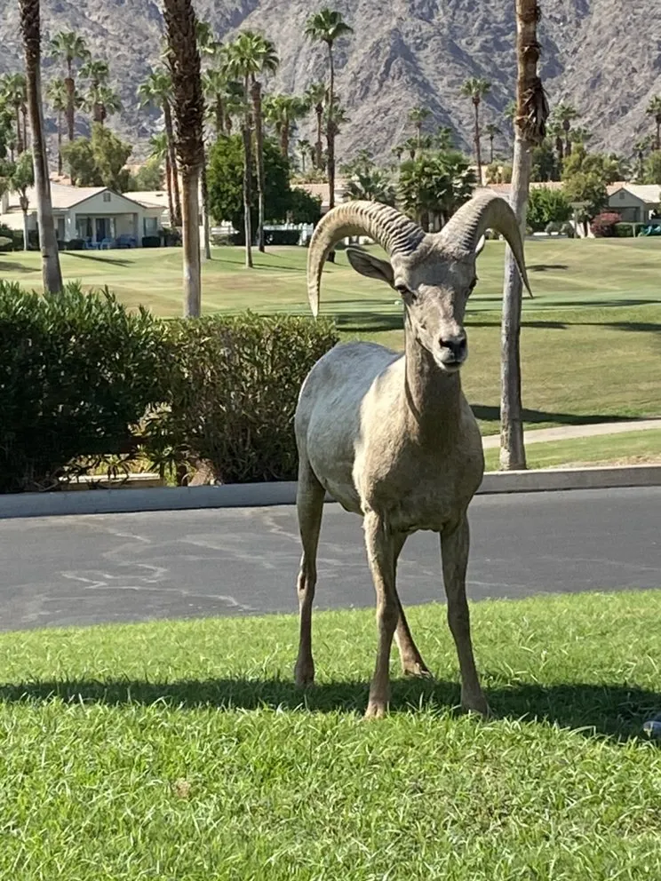 Slide of Western Air Cooling & Heating