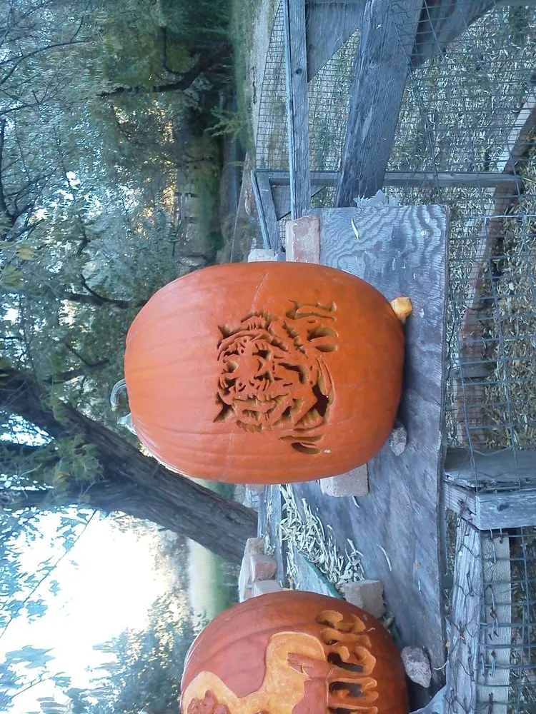 Slide of Western Colorado Plumbing & Heating