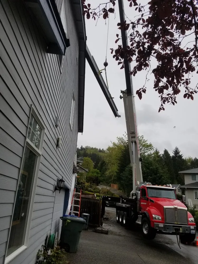 Slide of Western Crane