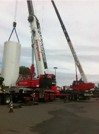 Slide of Western Crane