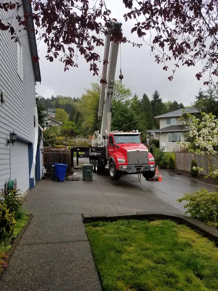 Slide of Western Crane