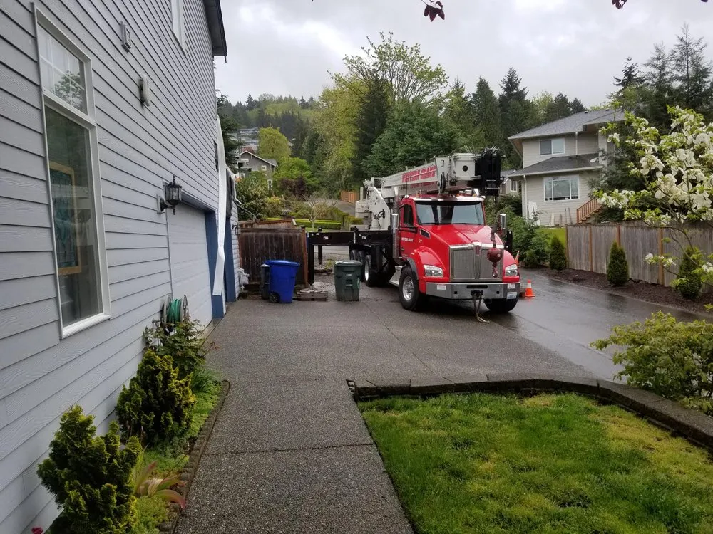 Slide of Western Crane