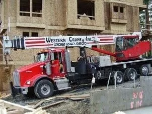 Slide of Western Crane