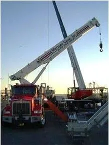 Slide of Western Crane